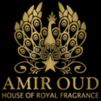 Amir Oud