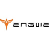 Engwe EU