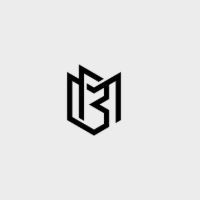 Magnetic Bag Company