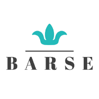 Barse Jewelry