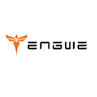 Engwe Bikes