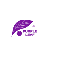 Purple Leaf
