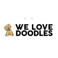 We Love Doodles